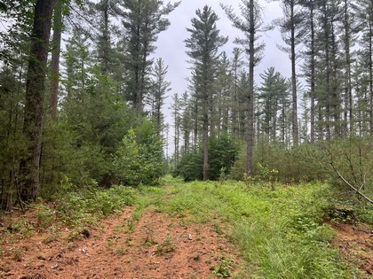 Adirondack land for sale