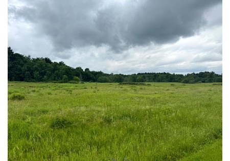 NY land for sale