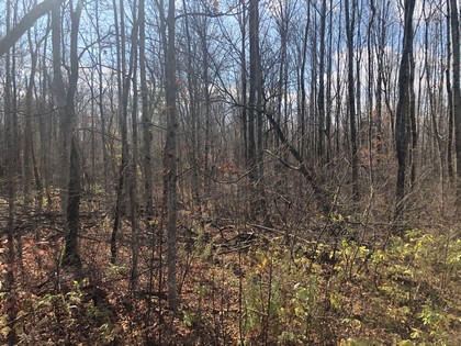 NY hunting land for sale Pharsalia NY