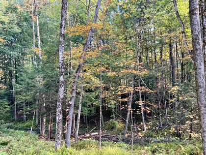 NY hunting land for sale