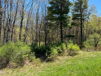 NY hunting land for sale Diana NY