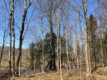 NY land for sale