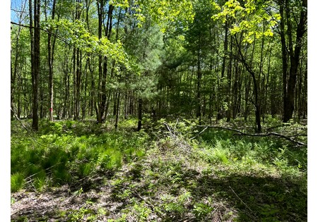 NY land for sale near Oneida Lake