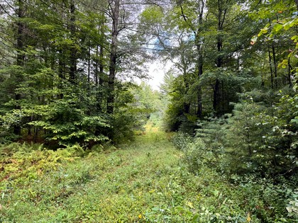Adirondack land and waterfront for sale