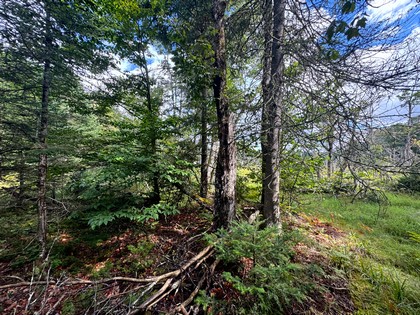 Adirondack land for sale NY