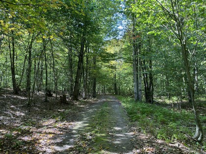 NY land for sale near Oneida Lake