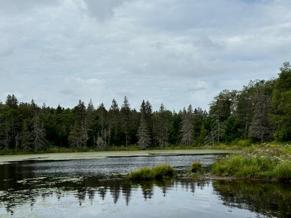 NY log cabin for sale