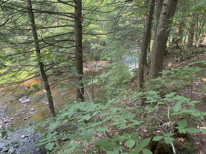 NY waterfront land for sale