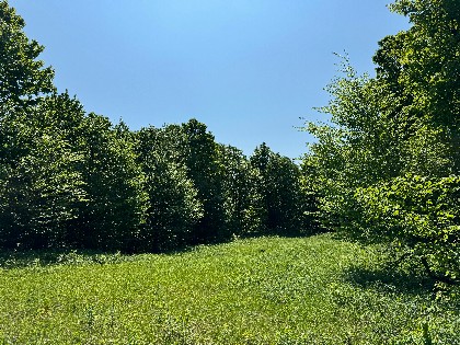 NY waterfront land for sale