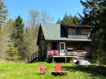 NY land and camps for sale