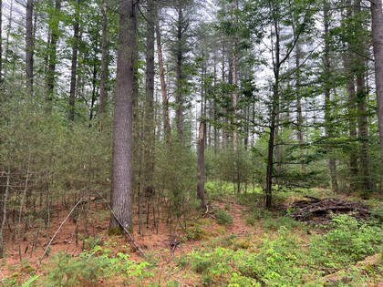 NY snowmobiling land for sale, land and snowmobile camps, ny properties, christmas associates