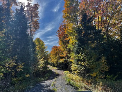 Adirondack land for sale