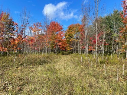 Waterfront land for sale Southern Tier NY