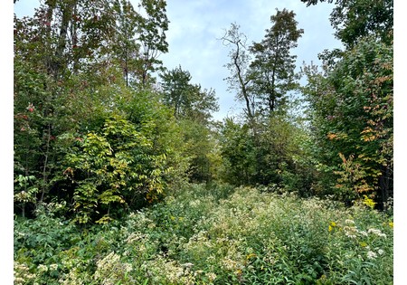 NY hunting land for sale