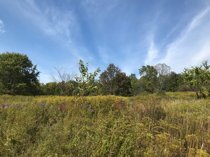 NY land for sale in Camden NY