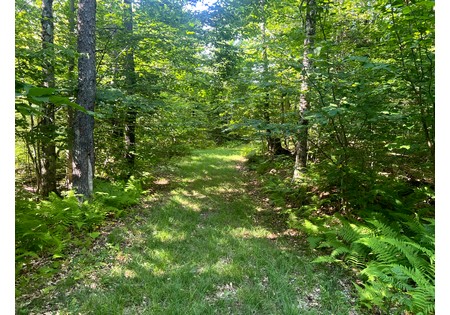 NY hunting land for sale