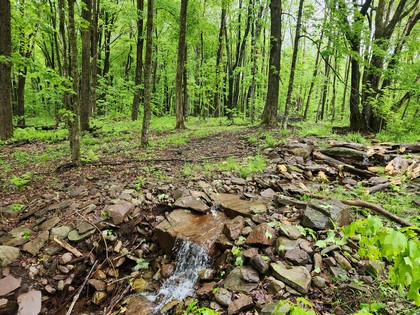 NY camps for sale