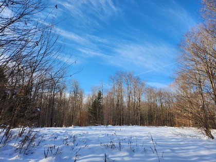 NY fishing land for sale