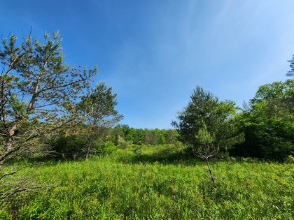finger lake ny properties for sale