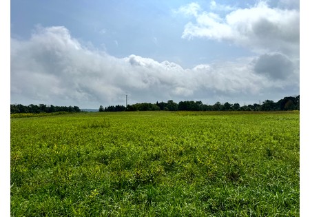 Land for sale Finger Lake area NY
