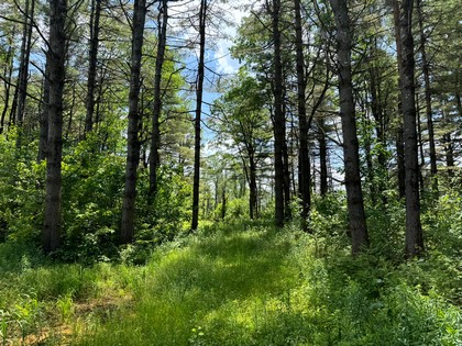 land for sale NY