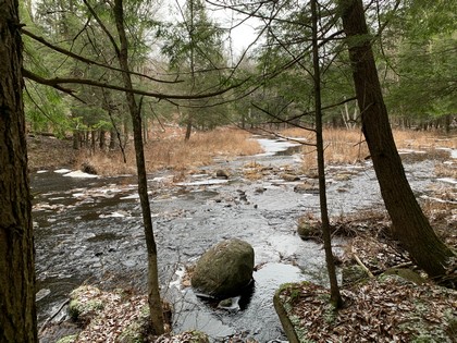 NY hunting land for sale Diana NY