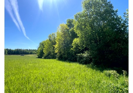 NY Southern Tier land for sale
