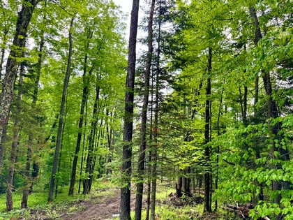 Adirondack waterfront land for sale NY