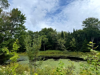 NY log cabin for sale
