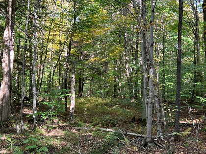 NY hunting camp for sale