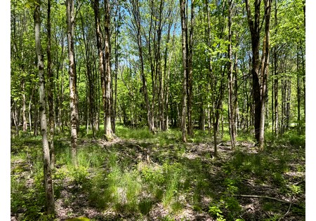 NY land for sale near Oneida Lake