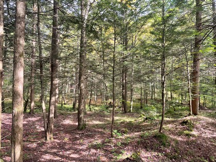 NY property for sale Oneida Lake area