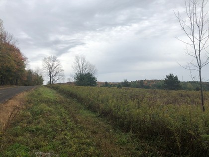 NY hunting land for sale Southern Tier NY 