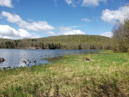 NY waterfront land for sale in Marathon NY