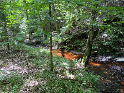 NY camp for sale in Croghan, NY