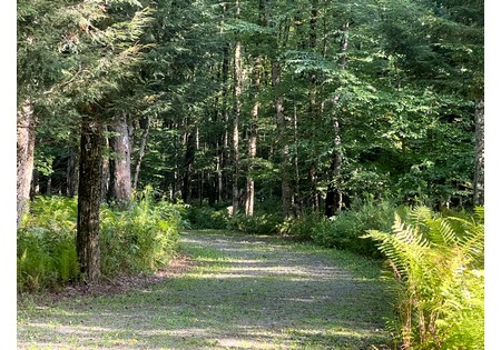 NY hunting camps for sale