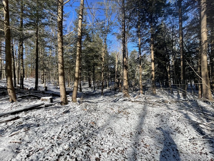 Land For Sale Bliss Ny