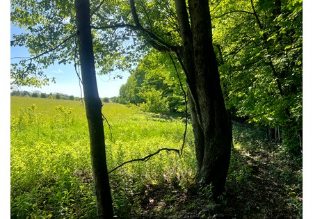 NY Southern Tier hunting land for sale