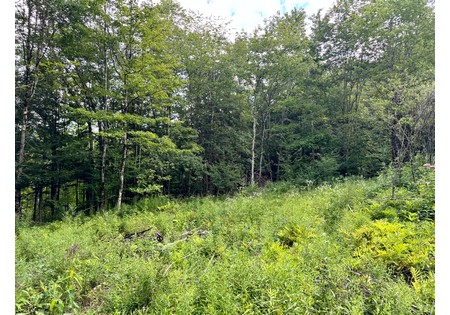 NY hunting land for sale
