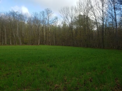 NY hunting land for sale in Freetown NY