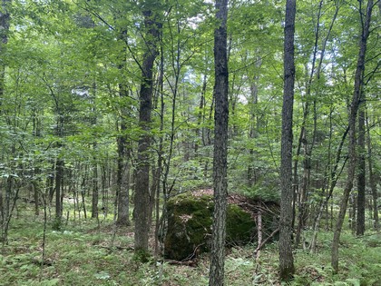 NY camps for sale