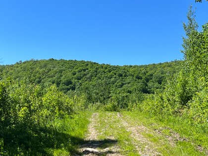 Adirondack land for sale