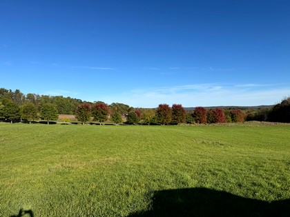 Chenango county NY land for sale