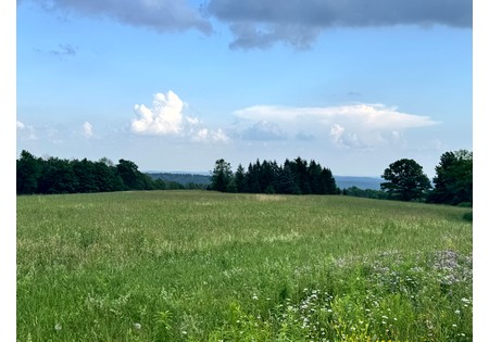 NY Finger Lakes property for sale