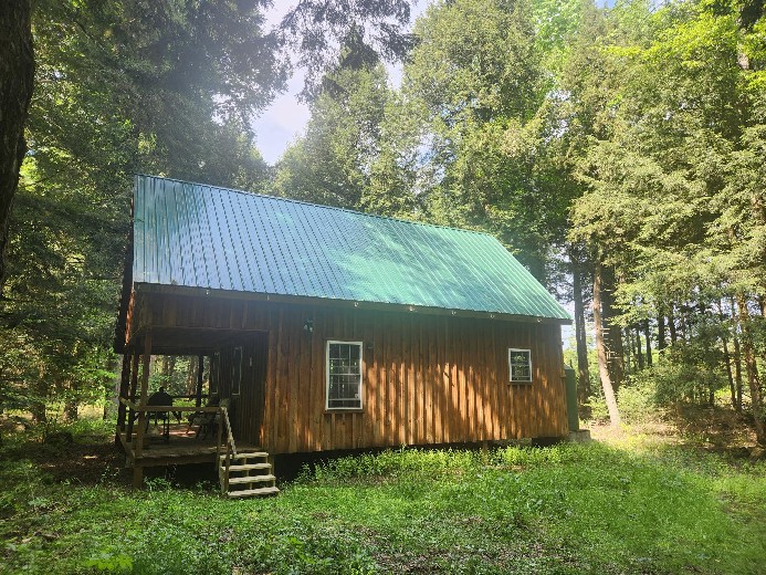 off the grid property for sale ny state image of cabin in woods with sun shining through trees
