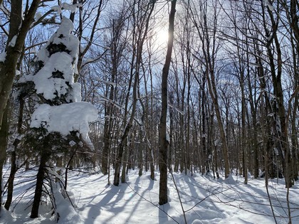 NY hunting and snowmobiling land for sale Orwell NY