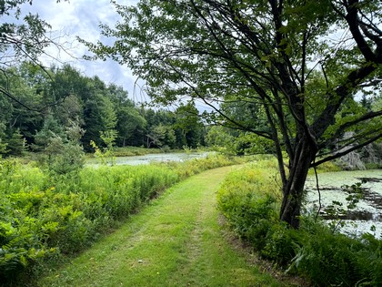 NY log cabin for sale