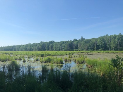 ny hunting land for sale in williamstown ny 