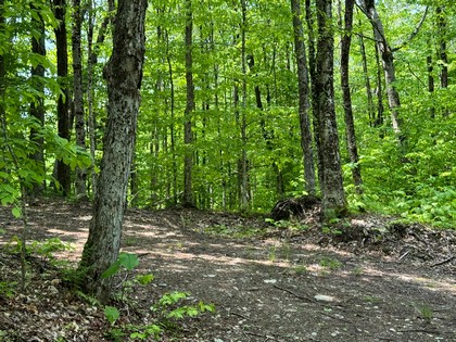 NY camps for sale
