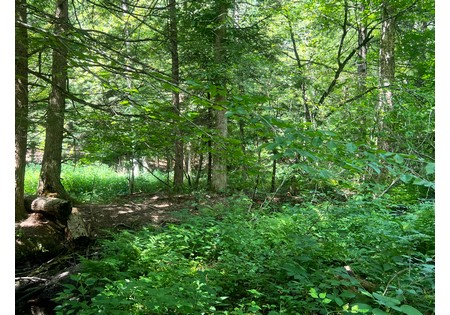NY cabins for sale